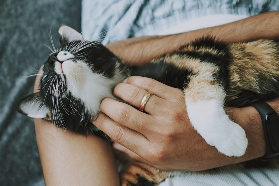 Common Mistakes to Avoid in Puppy Care