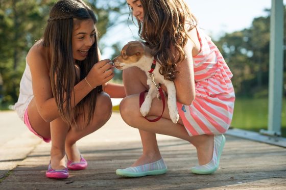 Puppy Health and Wellness: Tips for Keeping Your Furry Companion in Top Shape