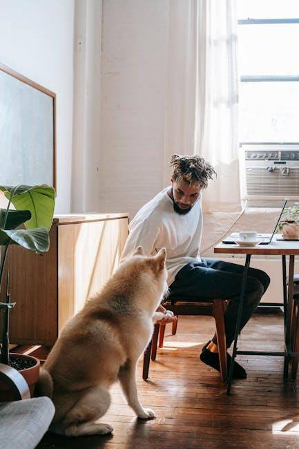 Getting Started with Online Dog Training: The Fun Factor