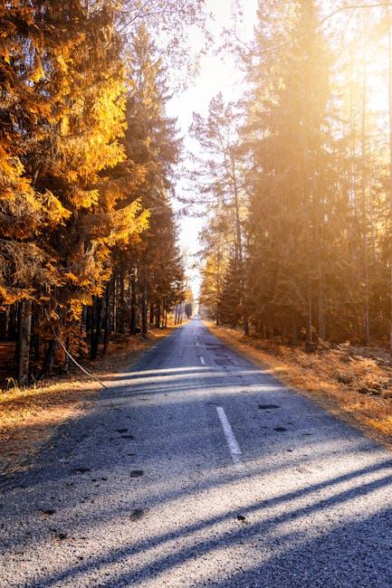 Unforgettable Trails for Adventurous Dogs and Their Humans