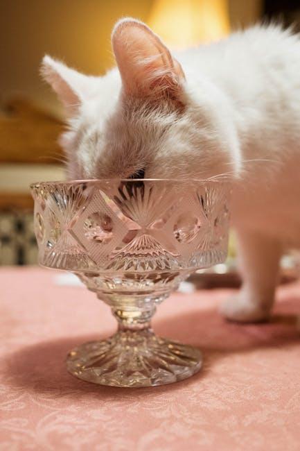 Elegant Feeding: Stylish Bowls and Mats for the Fancy Feline