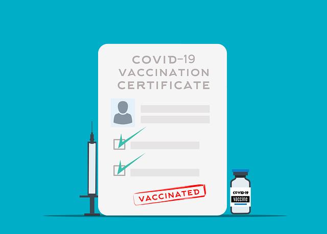 Essential Steps to Securing Pet Health Certificates