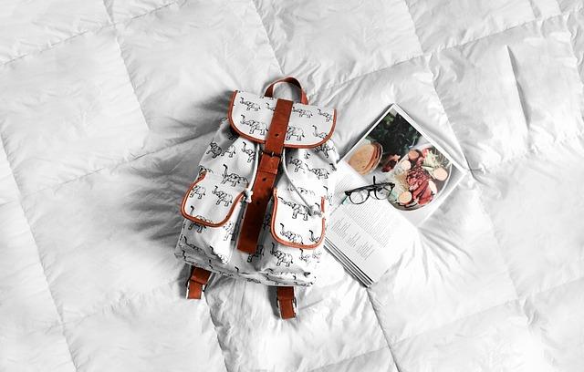 Must-Have Comfort Items for Your Furry Friends