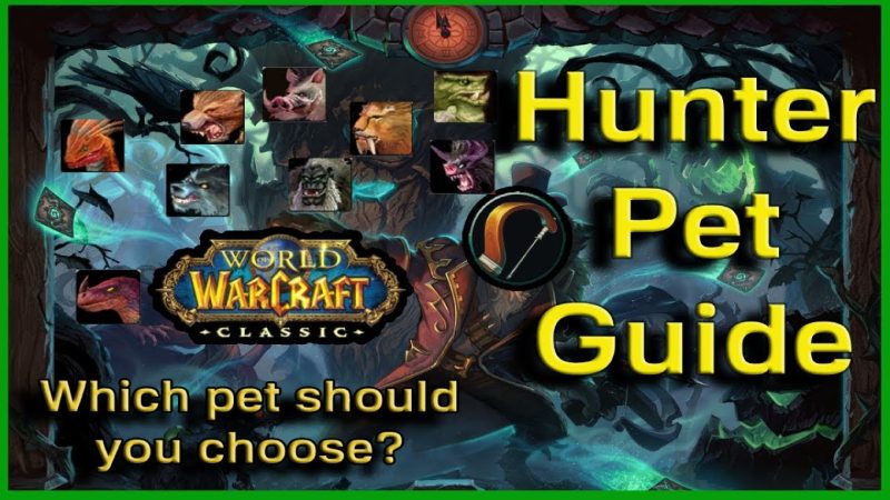A Guide for Hunter Pets – World of Warcraft Classic