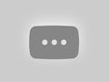Little girl learns about service dogs by cider #servicedog #dogtraining #dog #youtubeshorts #shorts