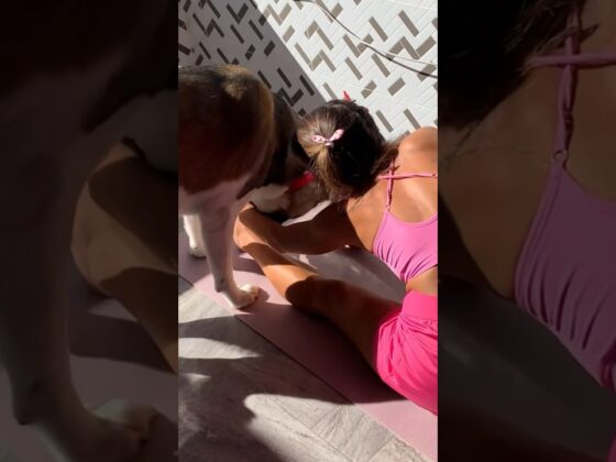 Watch😱 Fun Workouts with My Dog! #dogs #dogfunny #funnydogs #fitness #homeworkout #beautifulgirl