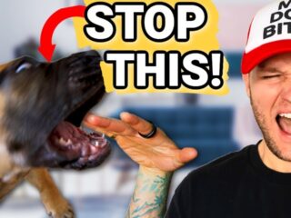 Puppy Training- How To Stop Puppy Biting Guaranteed! STOP Puppy Biting In Seconds!