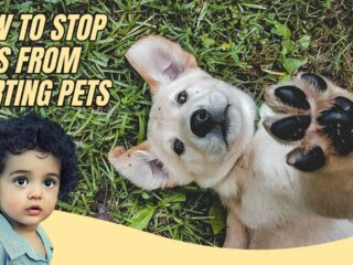 Preventing Kids From Harming Pets: Tips & Tricks