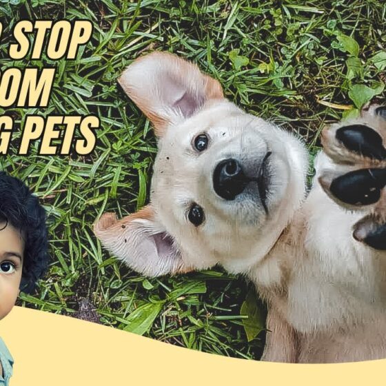 Preventing Kids From Harming Pets: Tips & Tricks