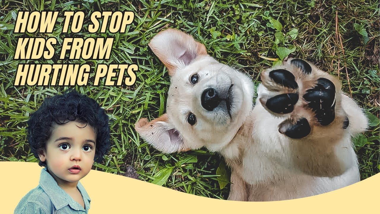 Preventing Kids From Harming Pets: Tips & Tricks
