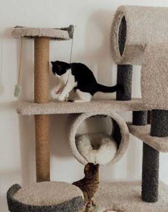 Cozy Cat Accessories That’ll Upgrade Your Home