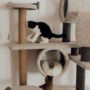 Cozy Cat Accessories That’ll Upgrade Your Home