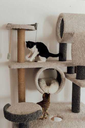 Cozy Cat Accessories That’ll Upgrade Your Home