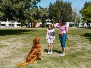 Fun Dog Training on YouTube: Best Videos!