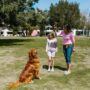 Fun Dog Training on YouTube: Best Videos!
